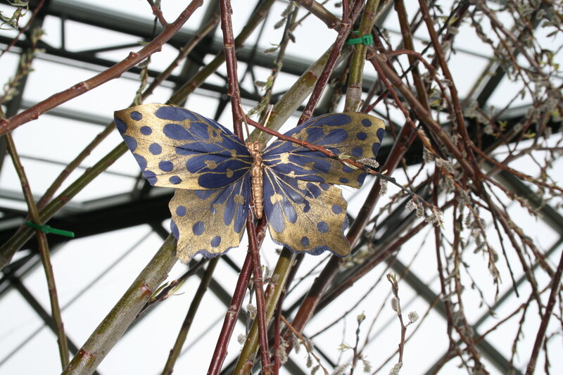 Blue and Gold Butterfly — Calm