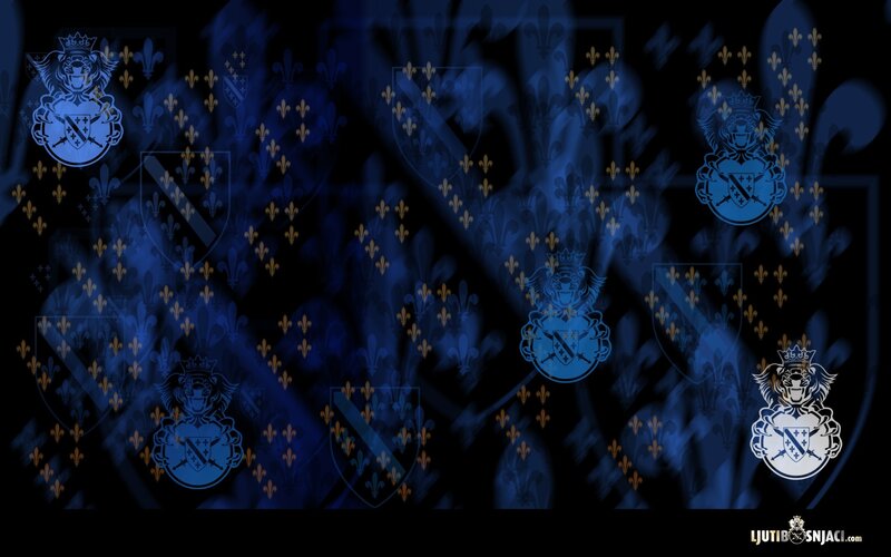 blue and gold crest pattern