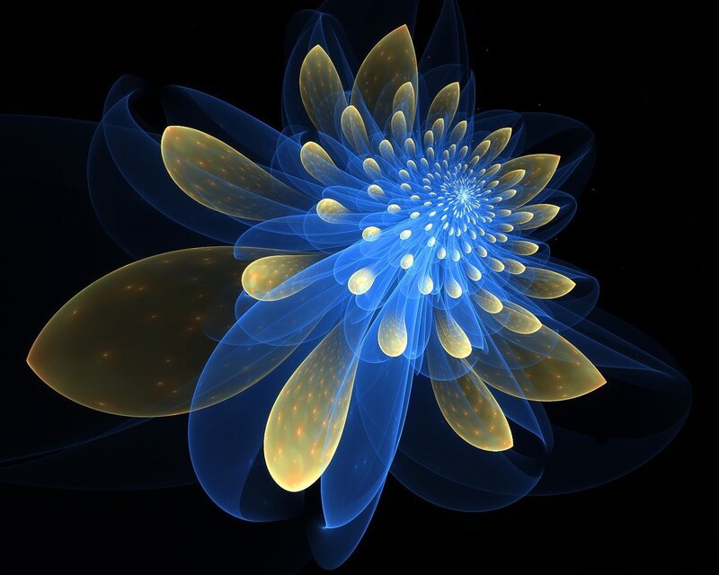 Blue and gold fractal flower
