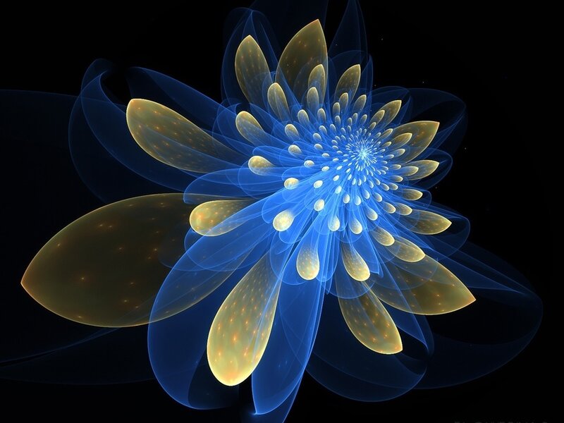 blue and gold fractal flower