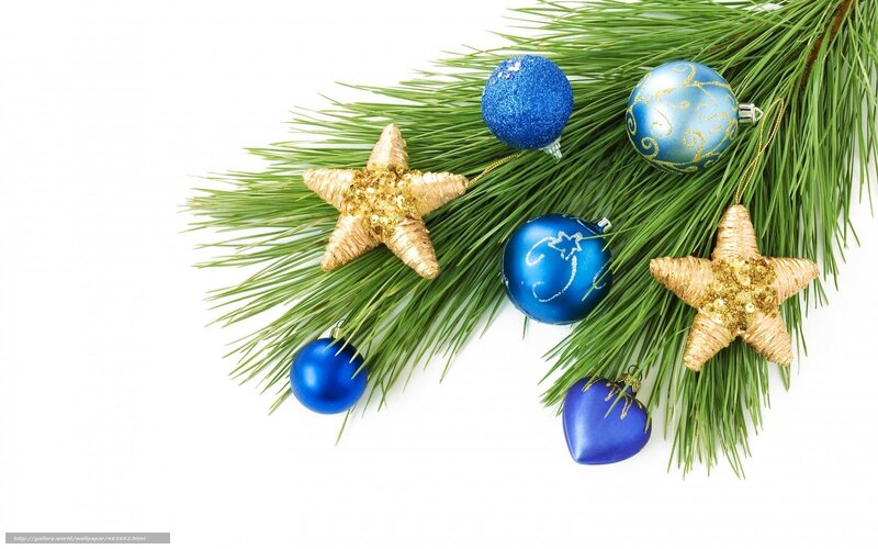blue and gold ornaments on pine