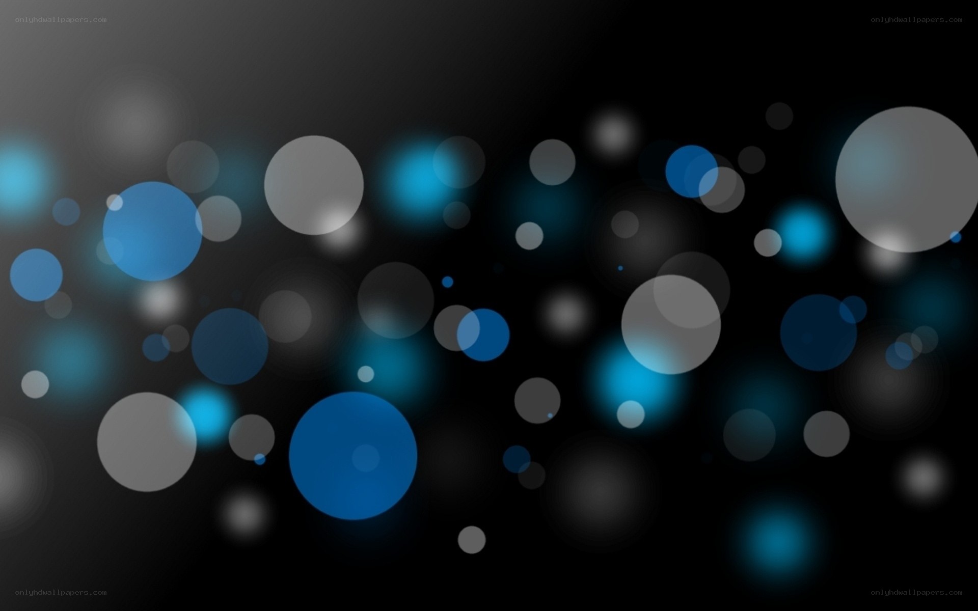 blue and gray bokeh circles