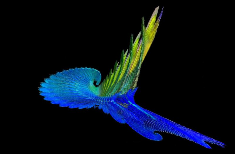 Blue and Green Bird — Dynamic