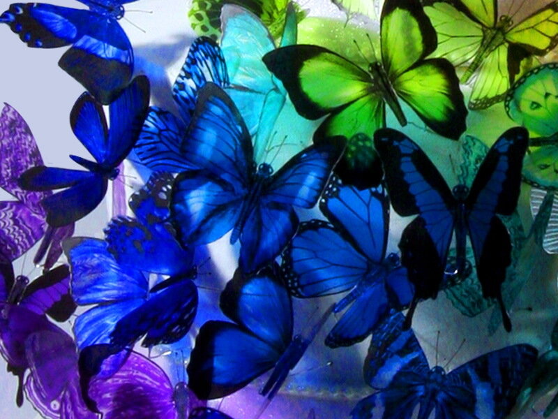 Blue and Green Butterflies