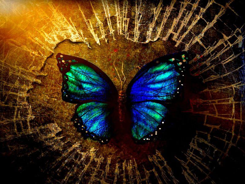 Blue and Green Butterfly — Dramatic