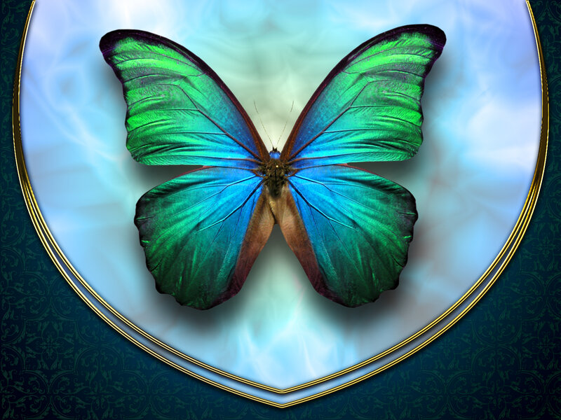 Blue and Green Butterfly — Serene