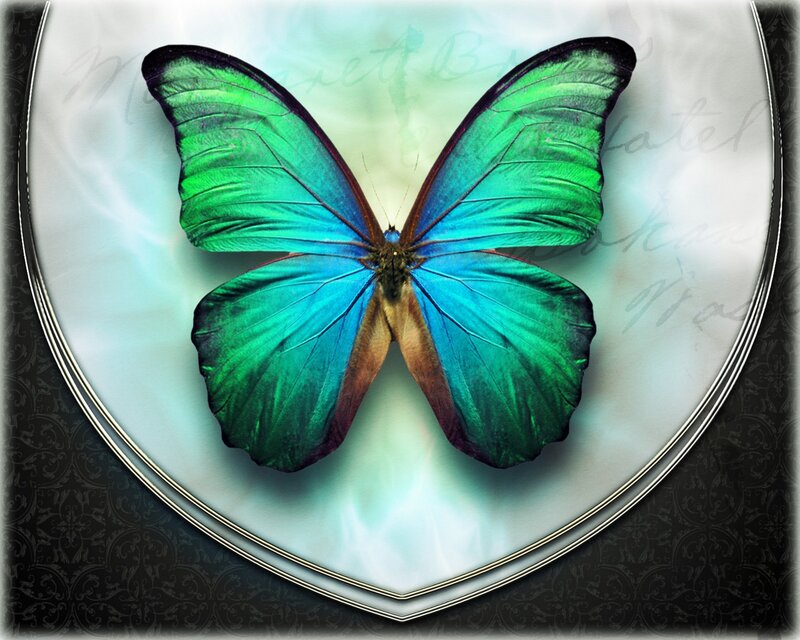 Blue and Green Butterfly