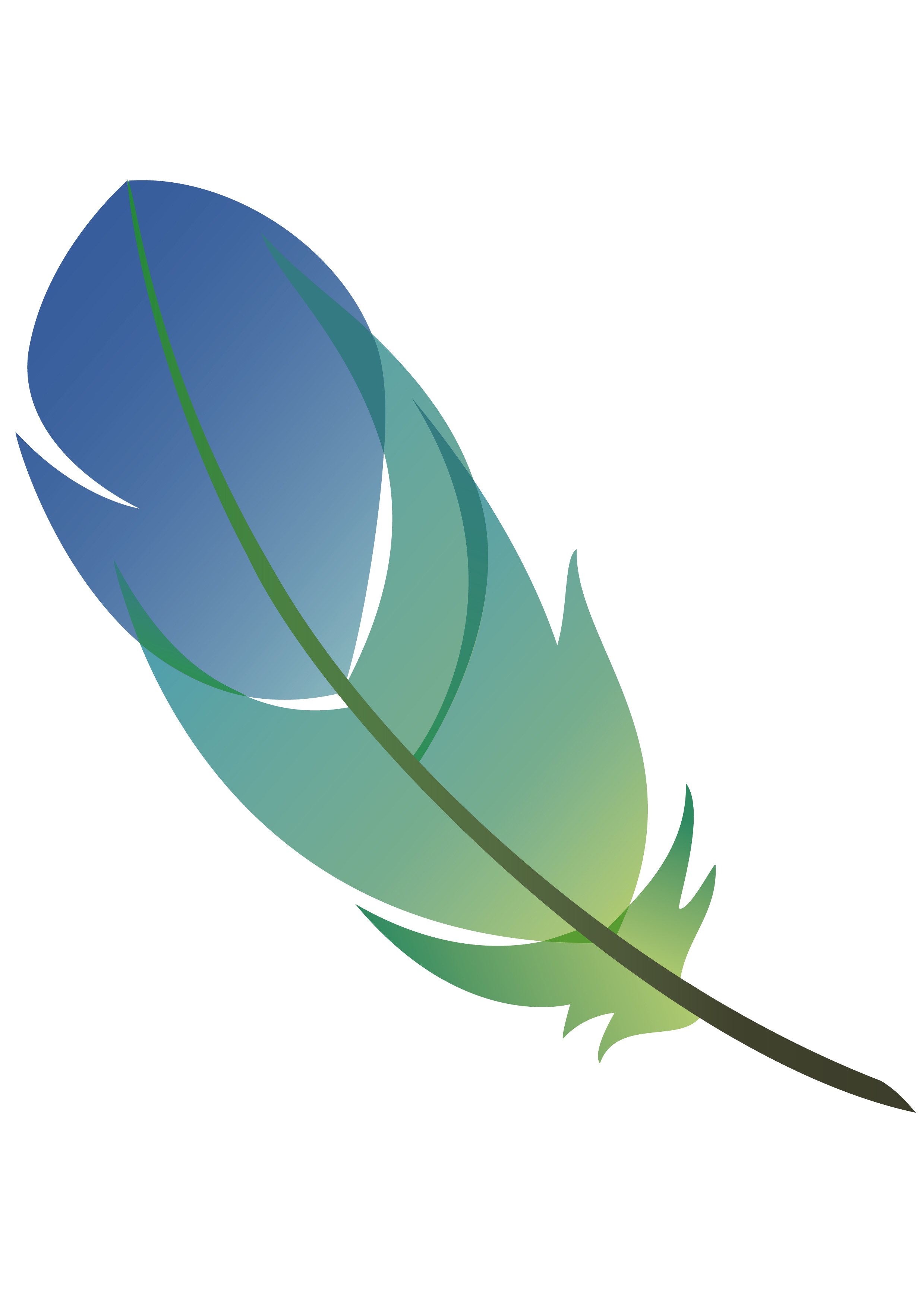 blue and green feather