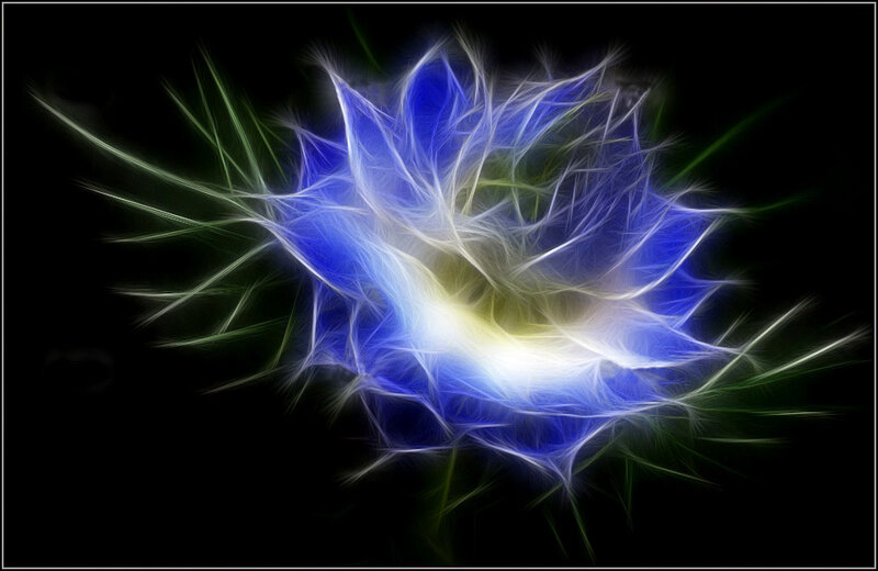 Blue and Green Fractal Flower — Ethereal