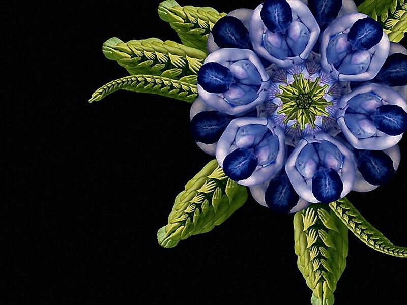 Blue and Green Fractal Flower