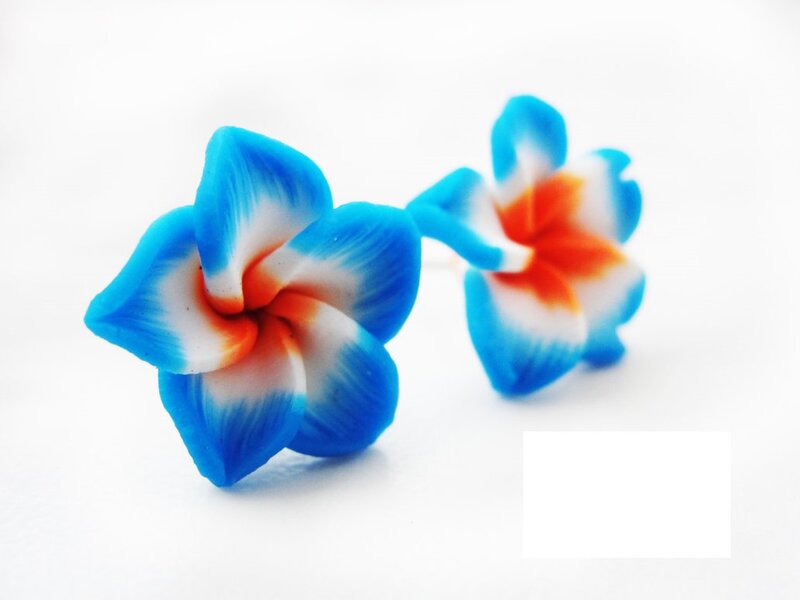 Blue and Orange Flower Earrings