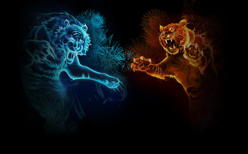 Blue and orange tiger battle
