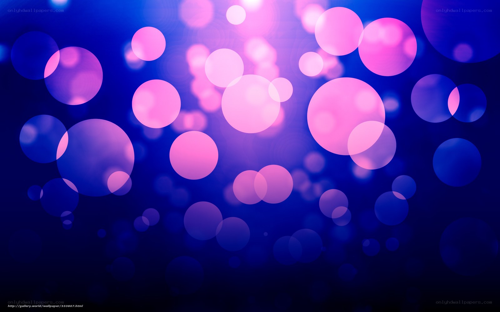 blue and pink bokeh circles