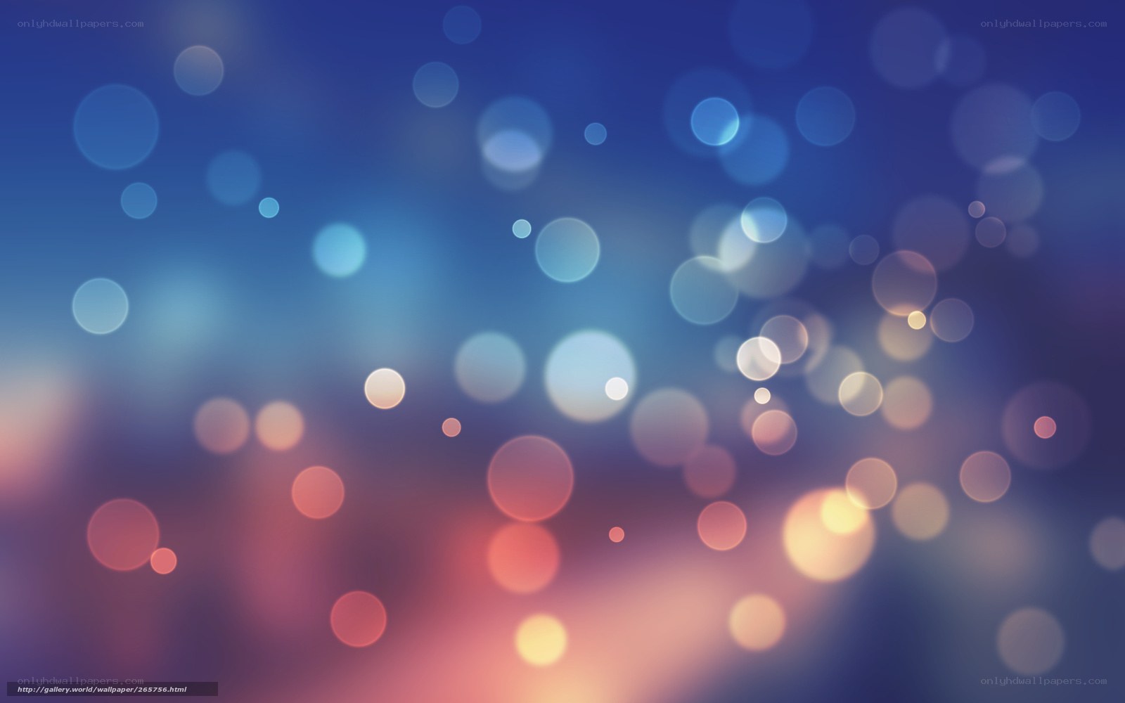blue and pink bokeh lights