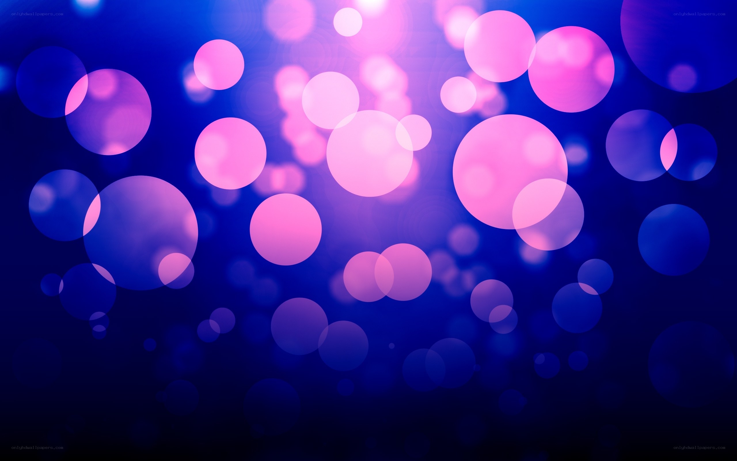 blue and pink bokeh lights