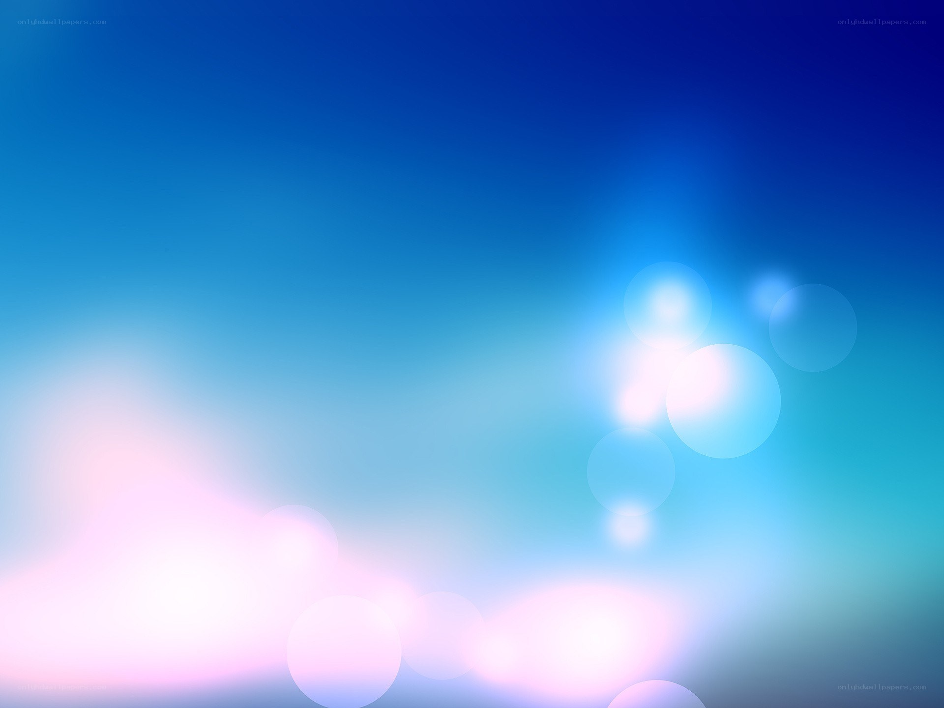 blue and pink light bokeh