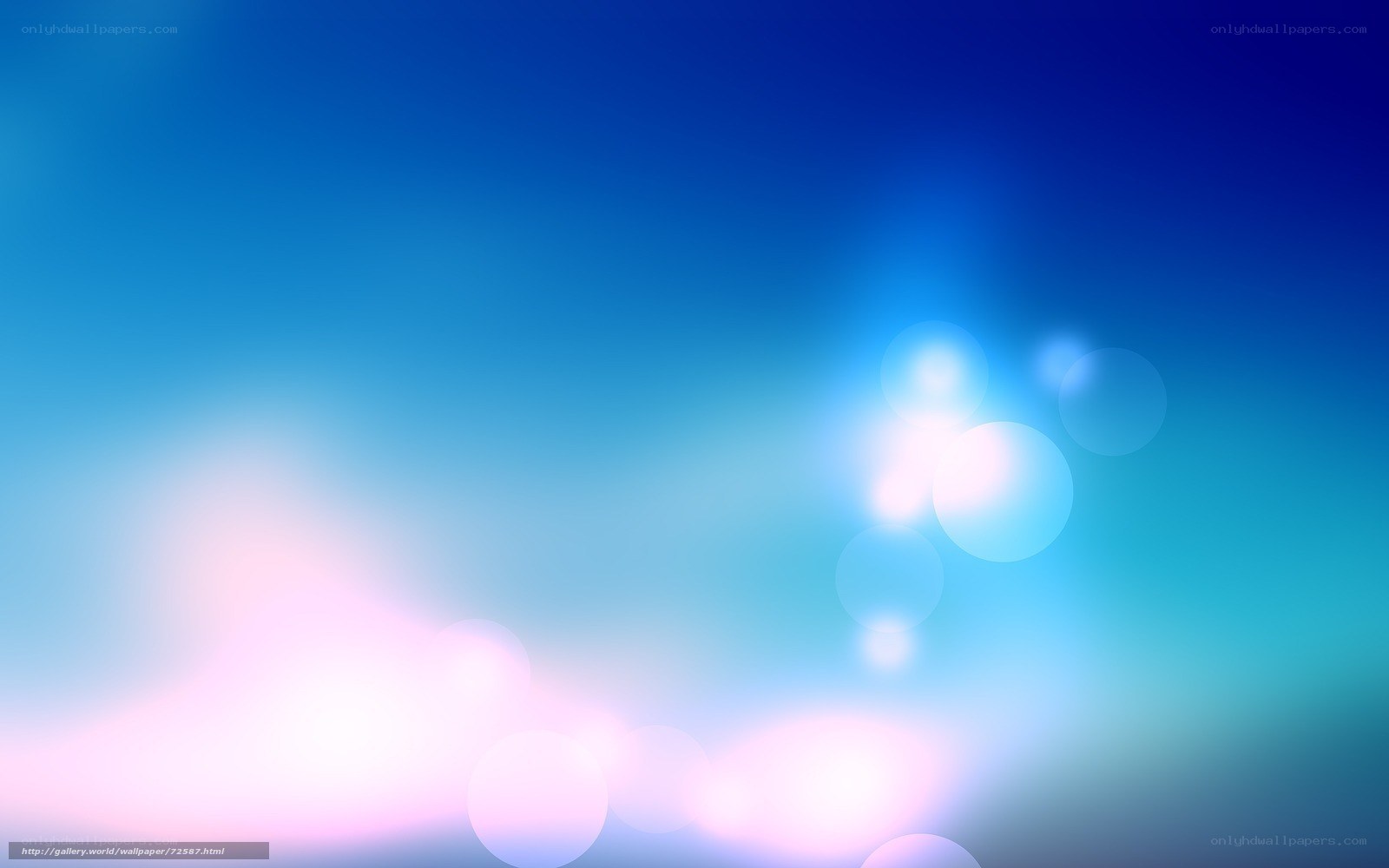 blue and pink light bokeh