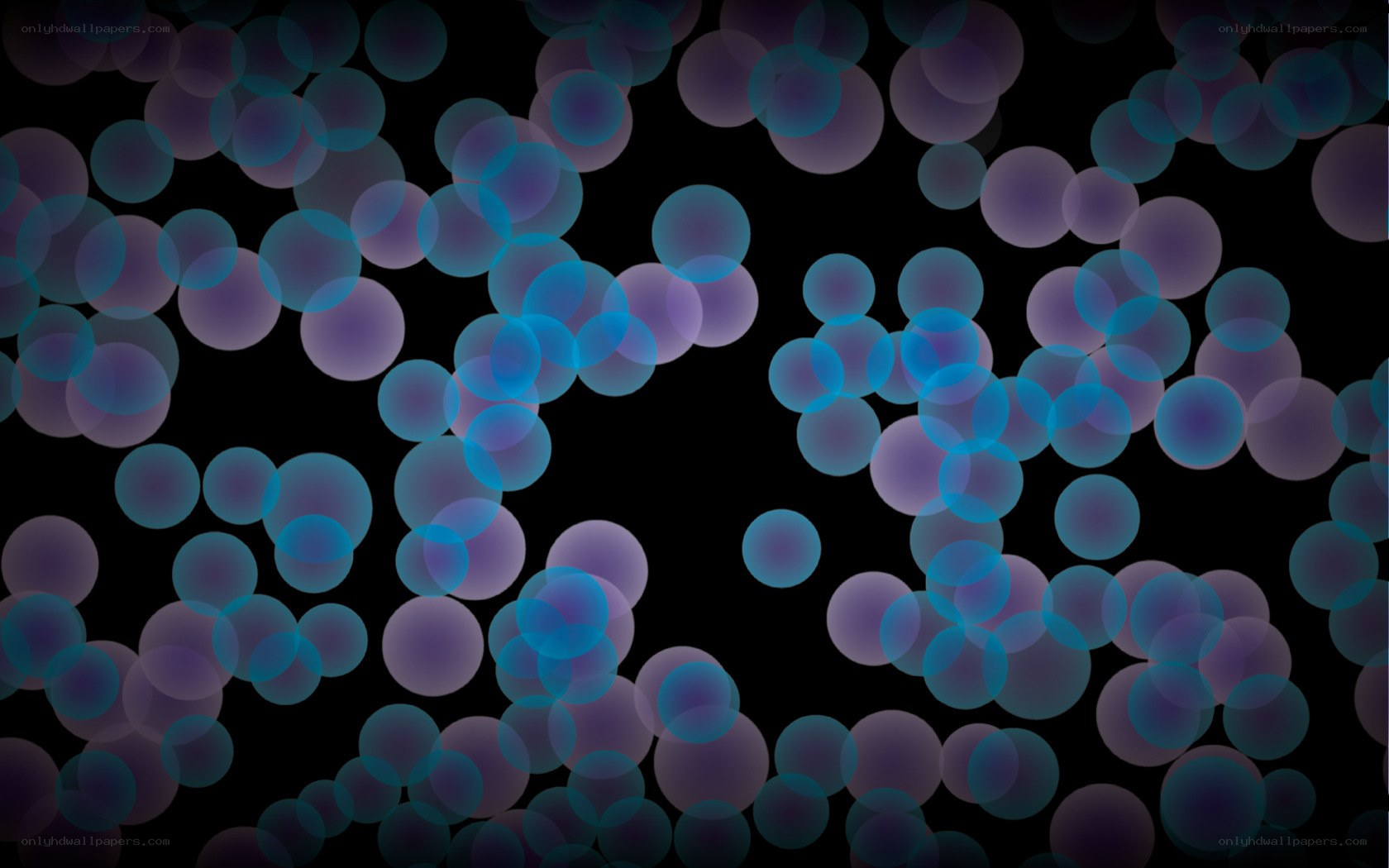 blue and purple bokeh circles