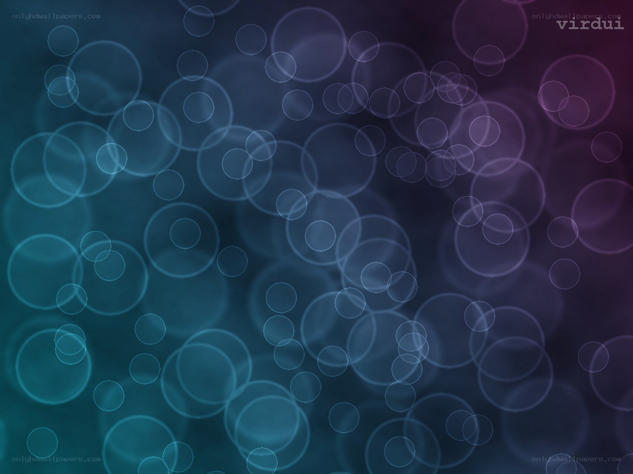 blue and purple bokeh circles