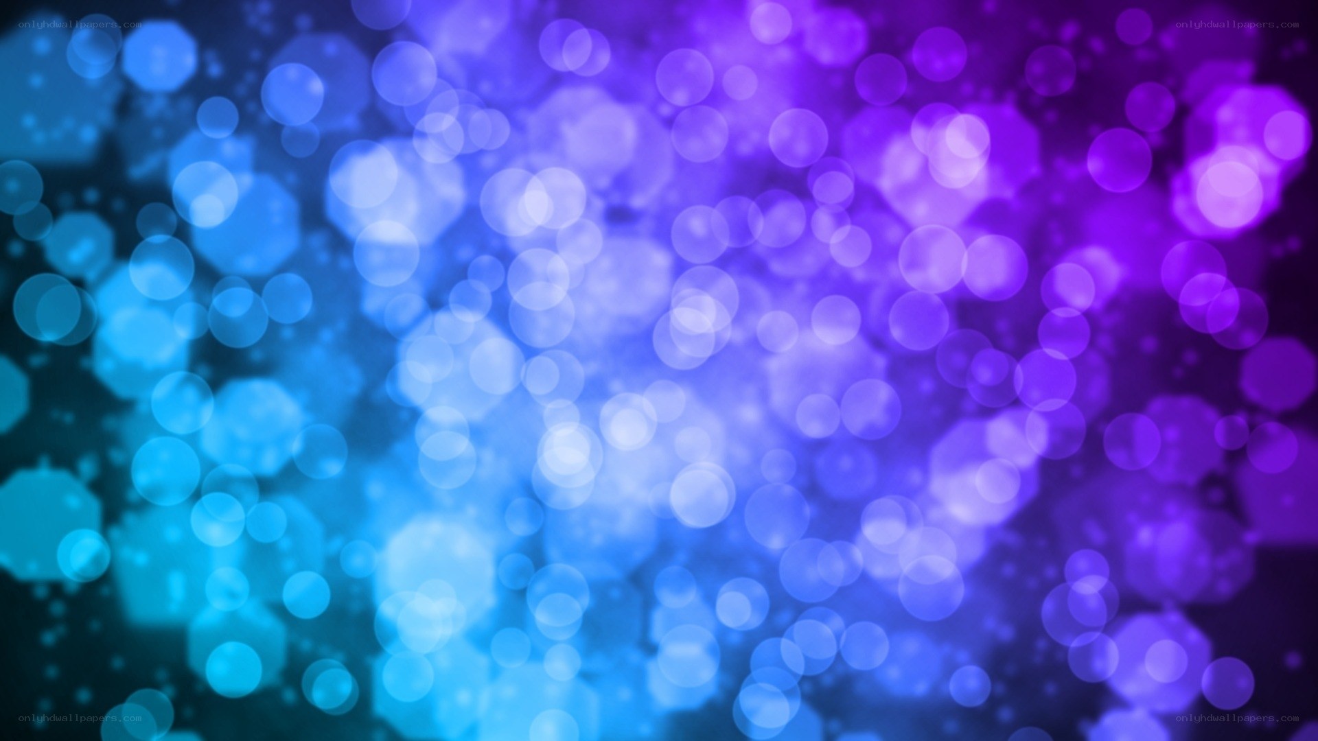 blue and purple bokeh lights