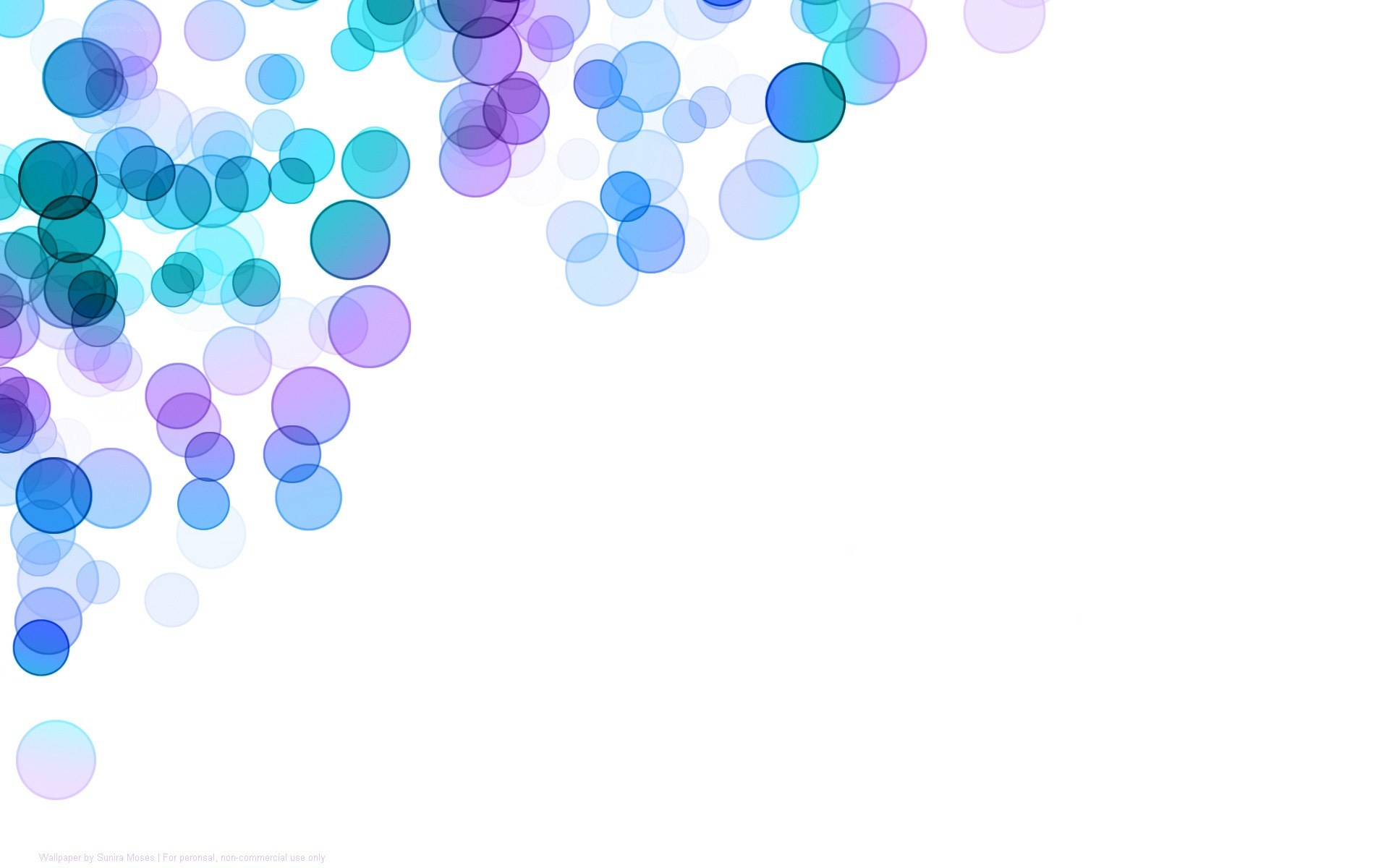 blue and purple circles wallpaper