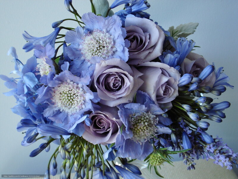 blue and purple flower bouquet