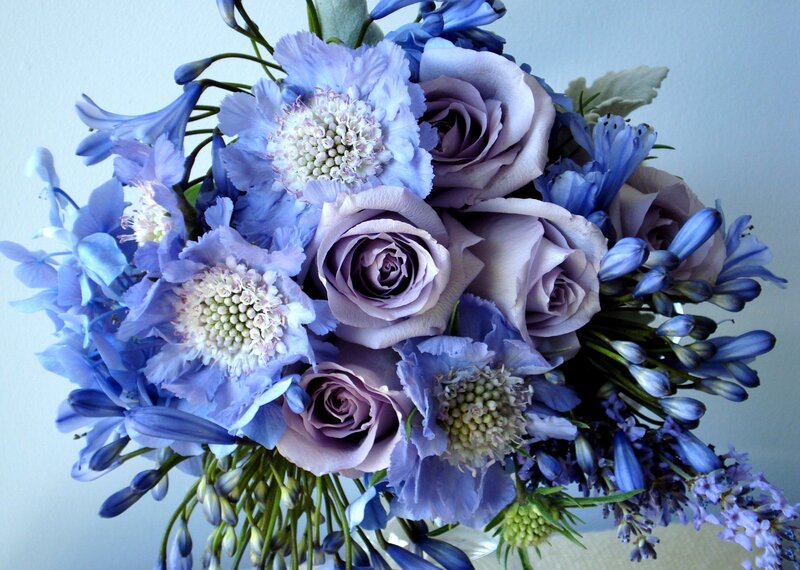 Blue and Purple Flower Bouquet — Calm, Photograph
