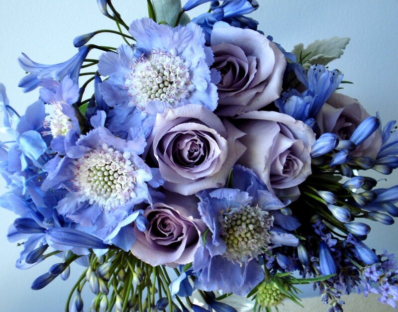 Blue and Purple Flower Bouquet — Calm