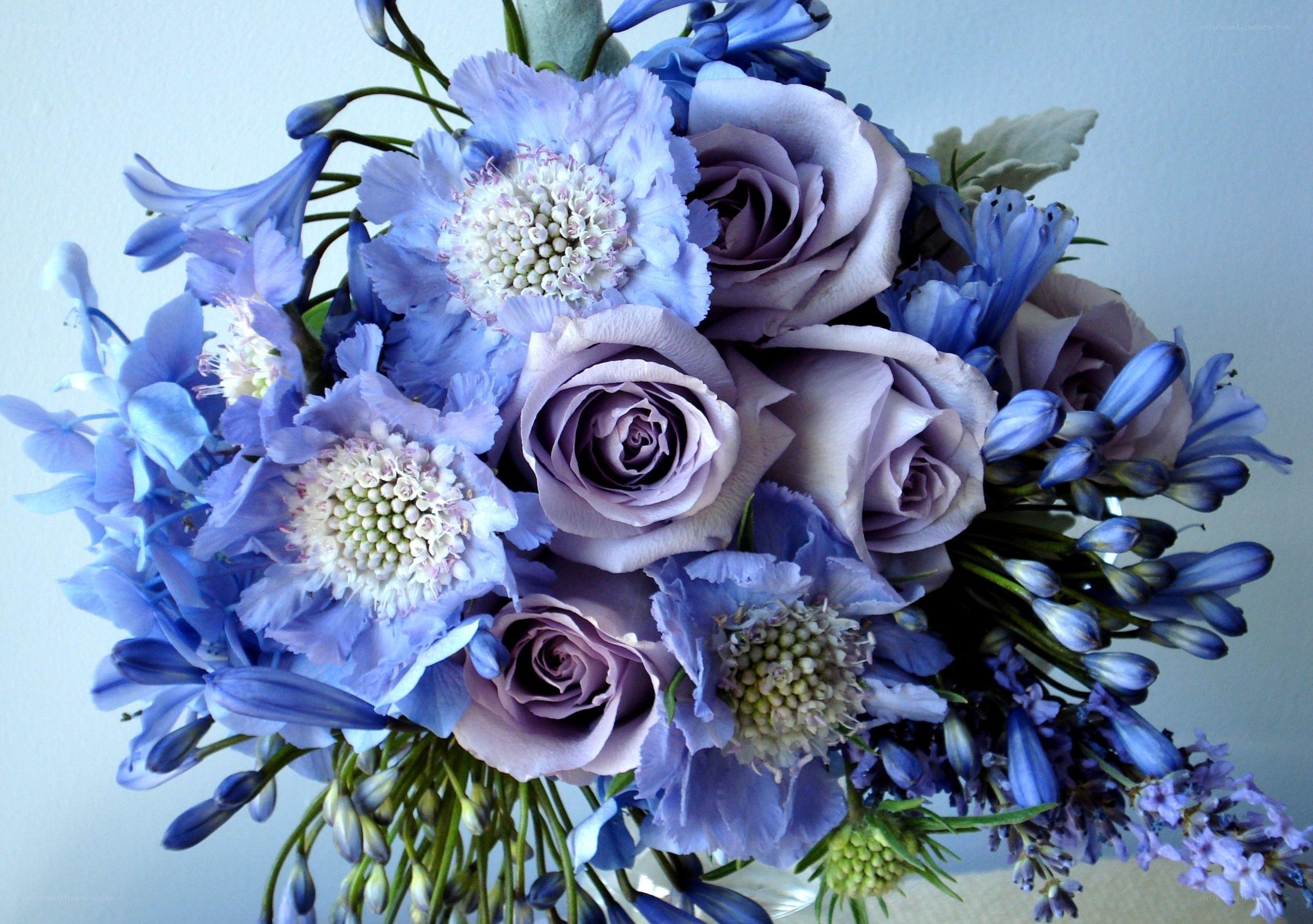 blue and purple flower bouquet
