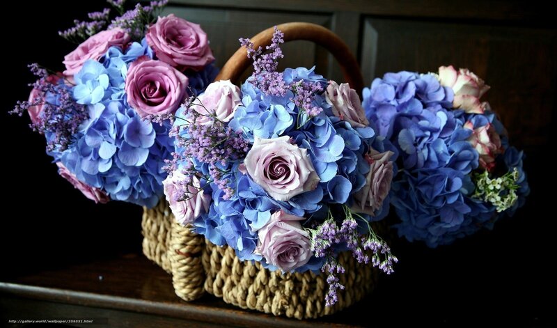 Blue and Purple Flowers — Dramatic, Photograph, Basket