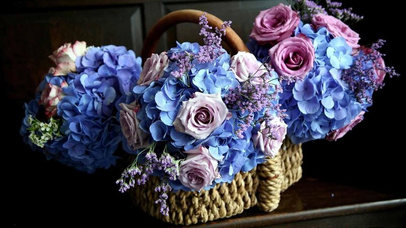 Blue and Purple Flowers — Dramatic, Photograph