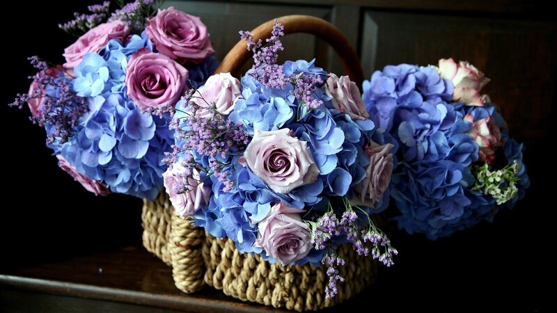 Blue and Purple Flowers — Dramatic