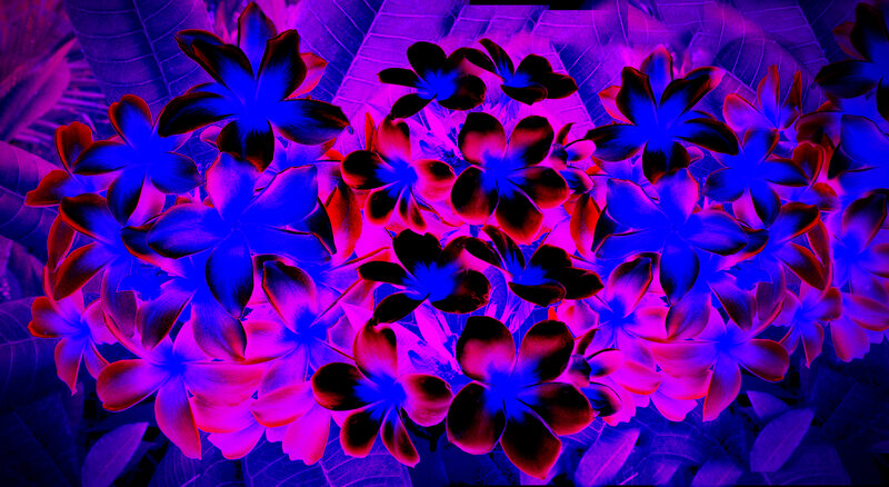 Blue and Purple Flowers — Vibrant, Digital Art