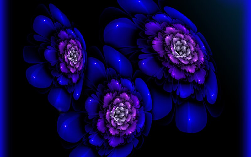 Blue and purple fractal flowers
