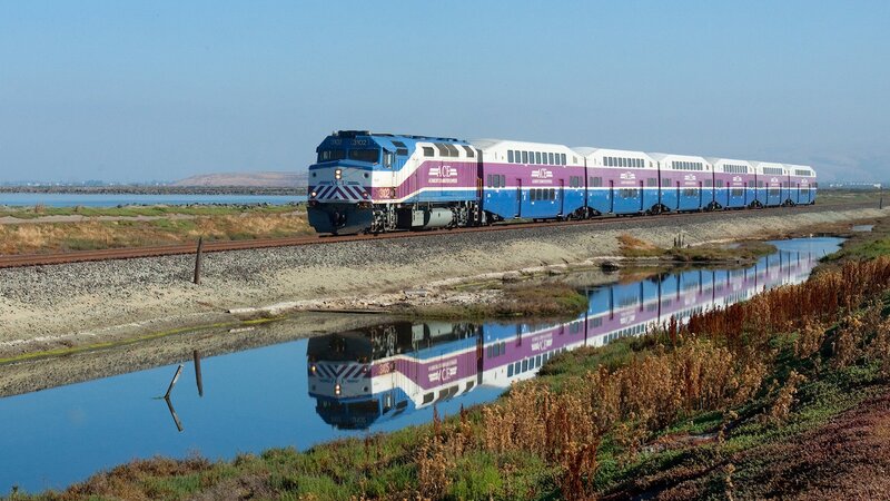 Blue and Purple Train