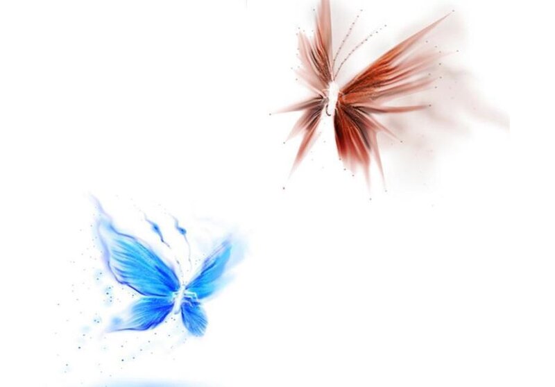 blue and red butterfly art