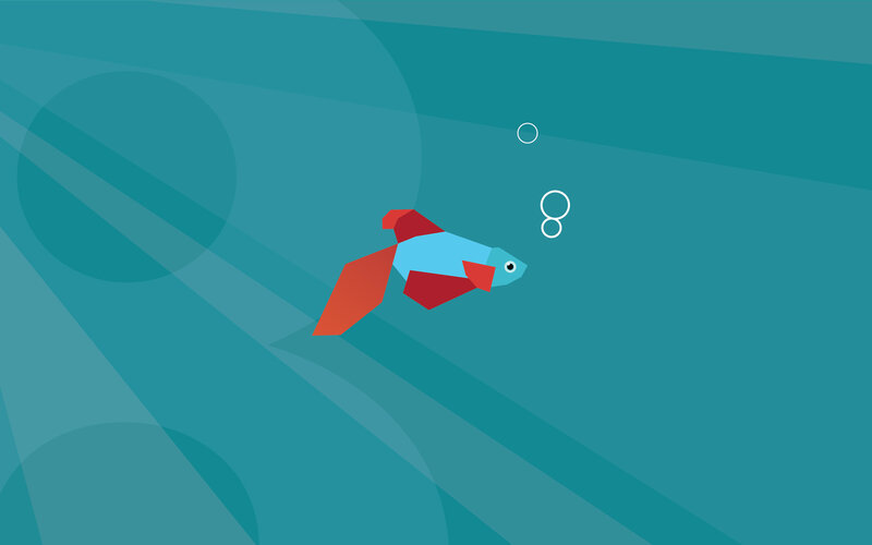 Blue and Red Fish