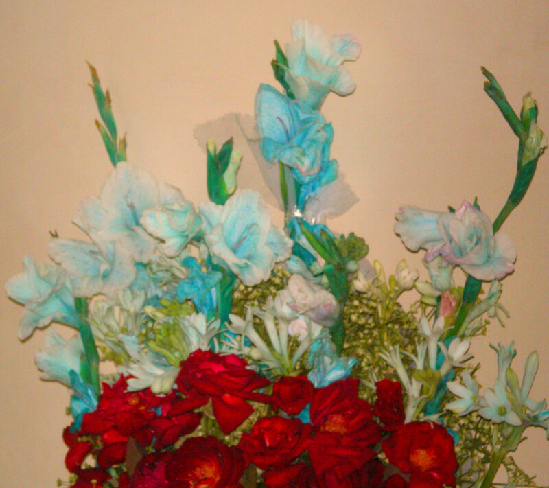 blue and red flower arrangement