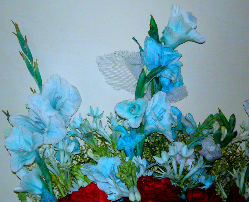Blue and Red Flowers — Calm