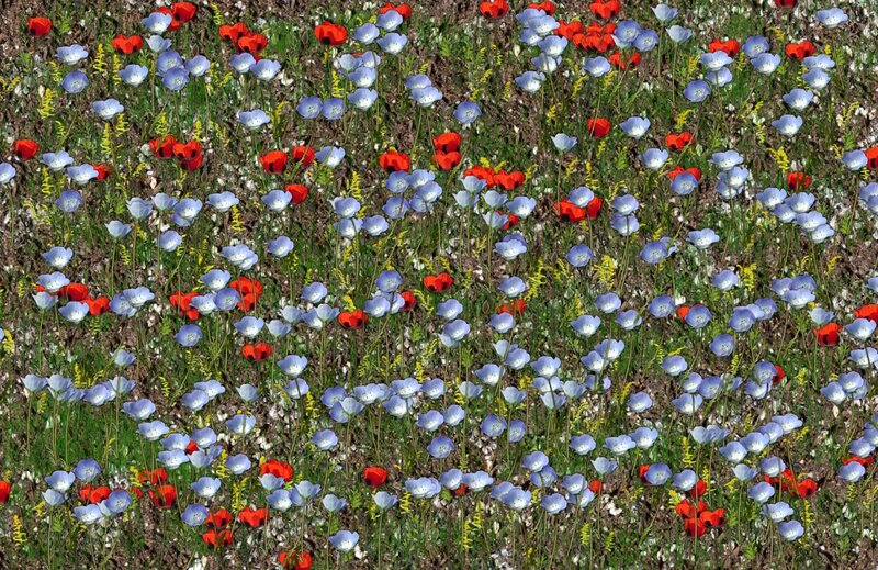 Blue and Red Flowers — Serene