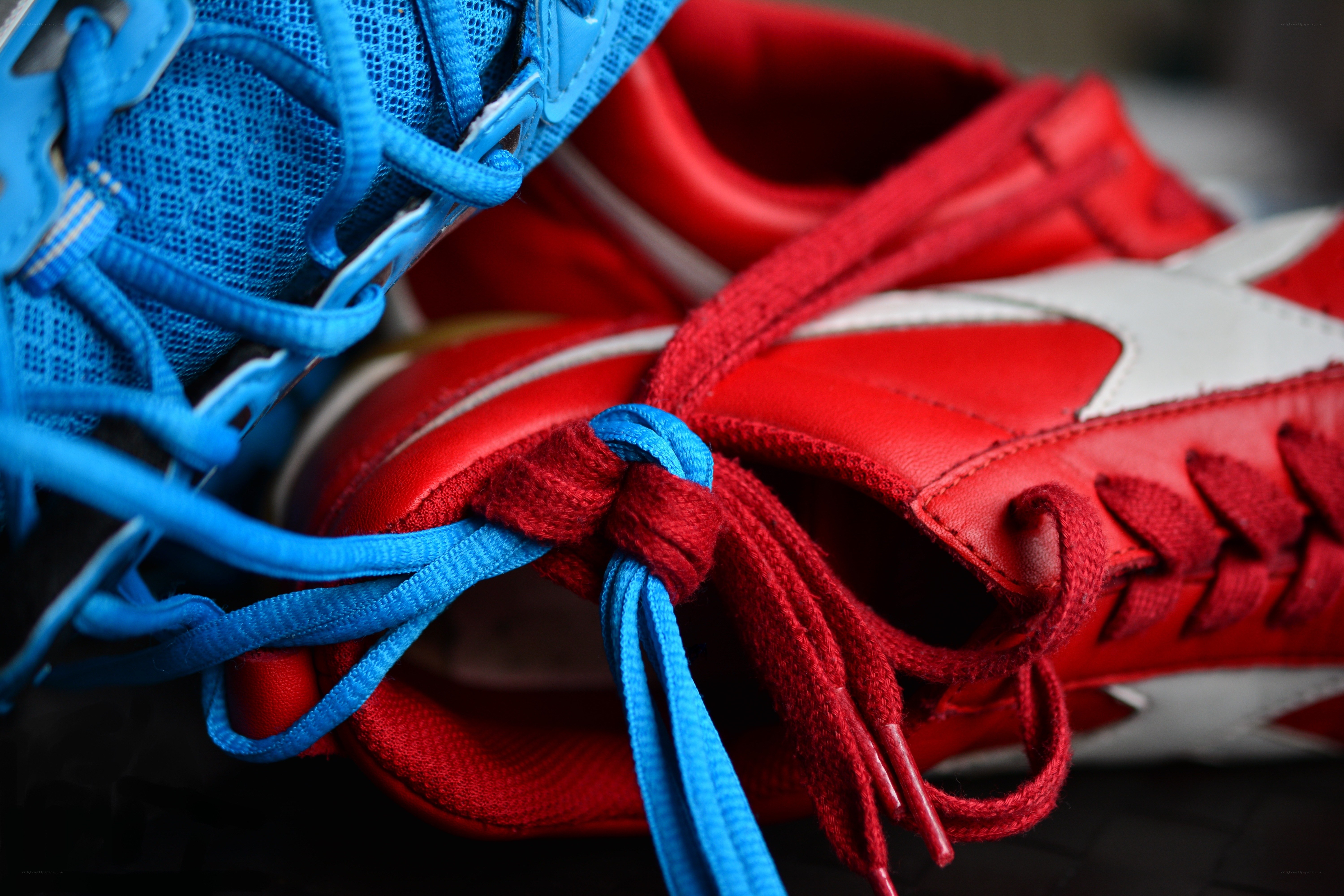 Blue and red sneakers