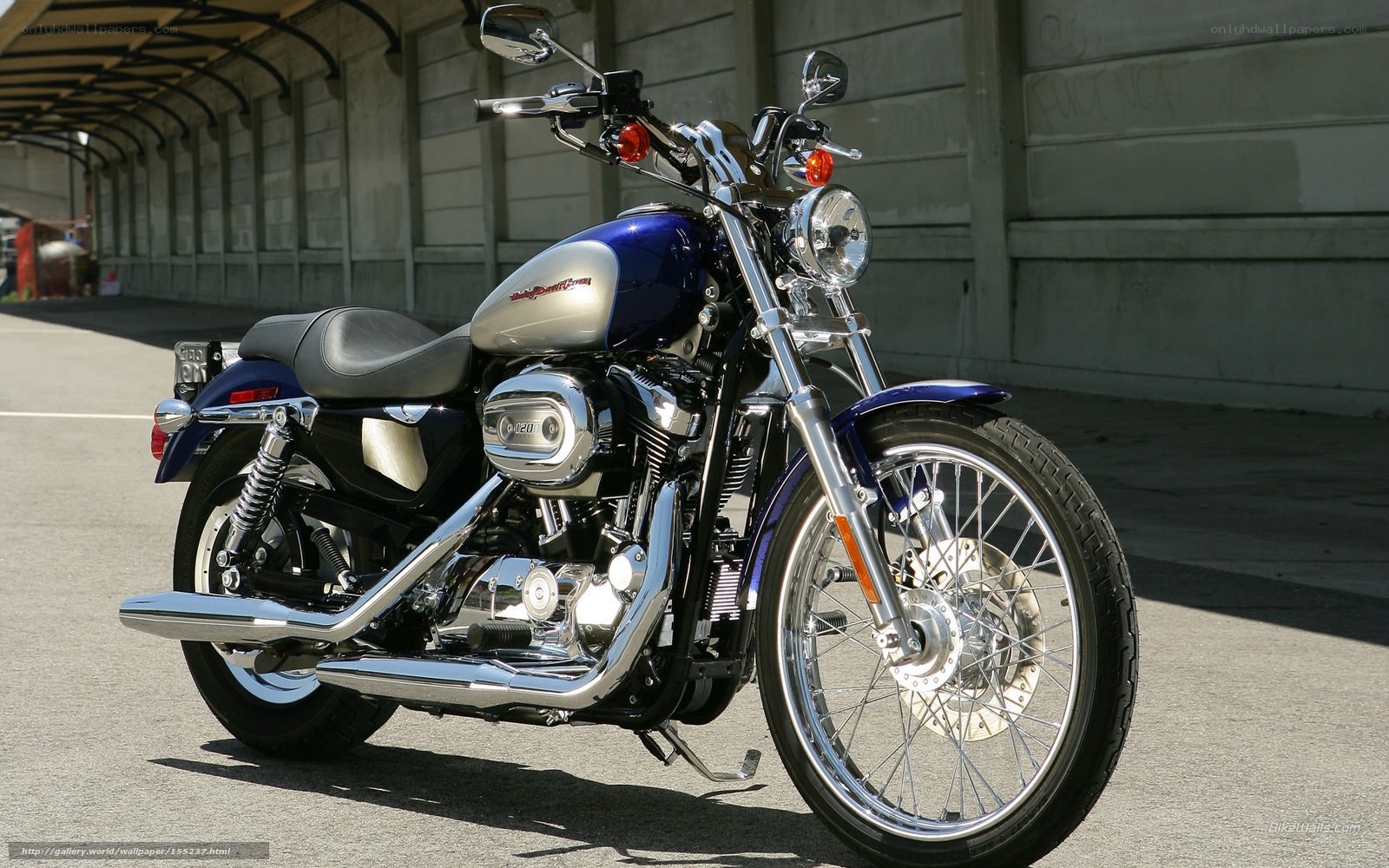 Blue and silver Harley-Davidson motorcycle