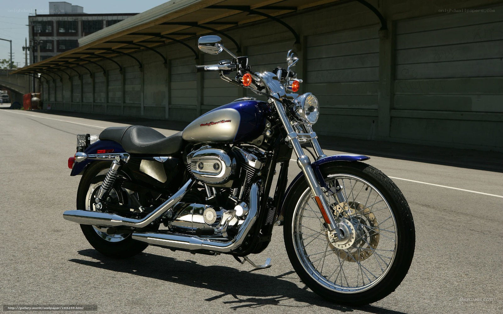 Blue and silver Harley-Davidson motorcycle