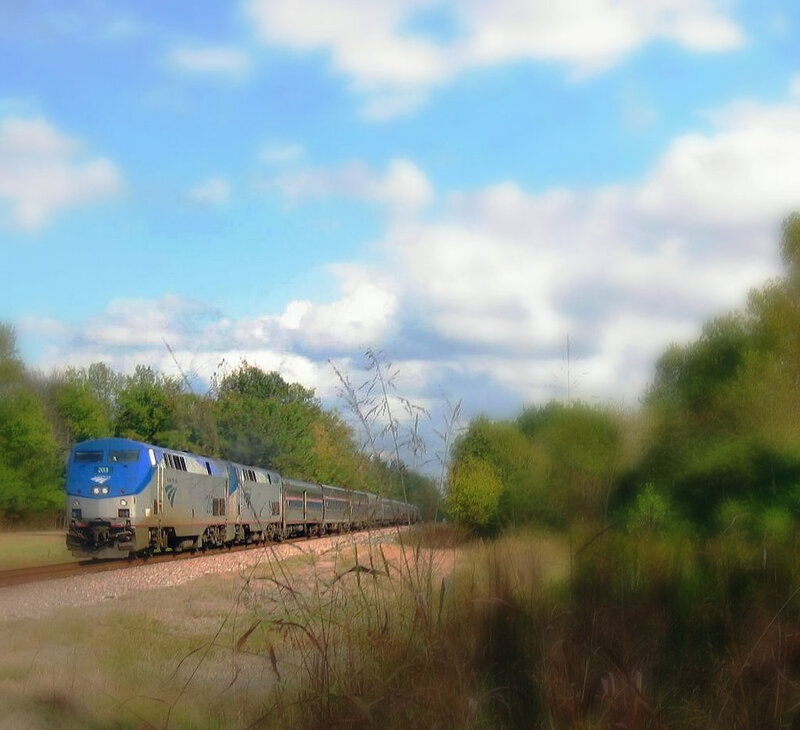 Blue and Silver Train