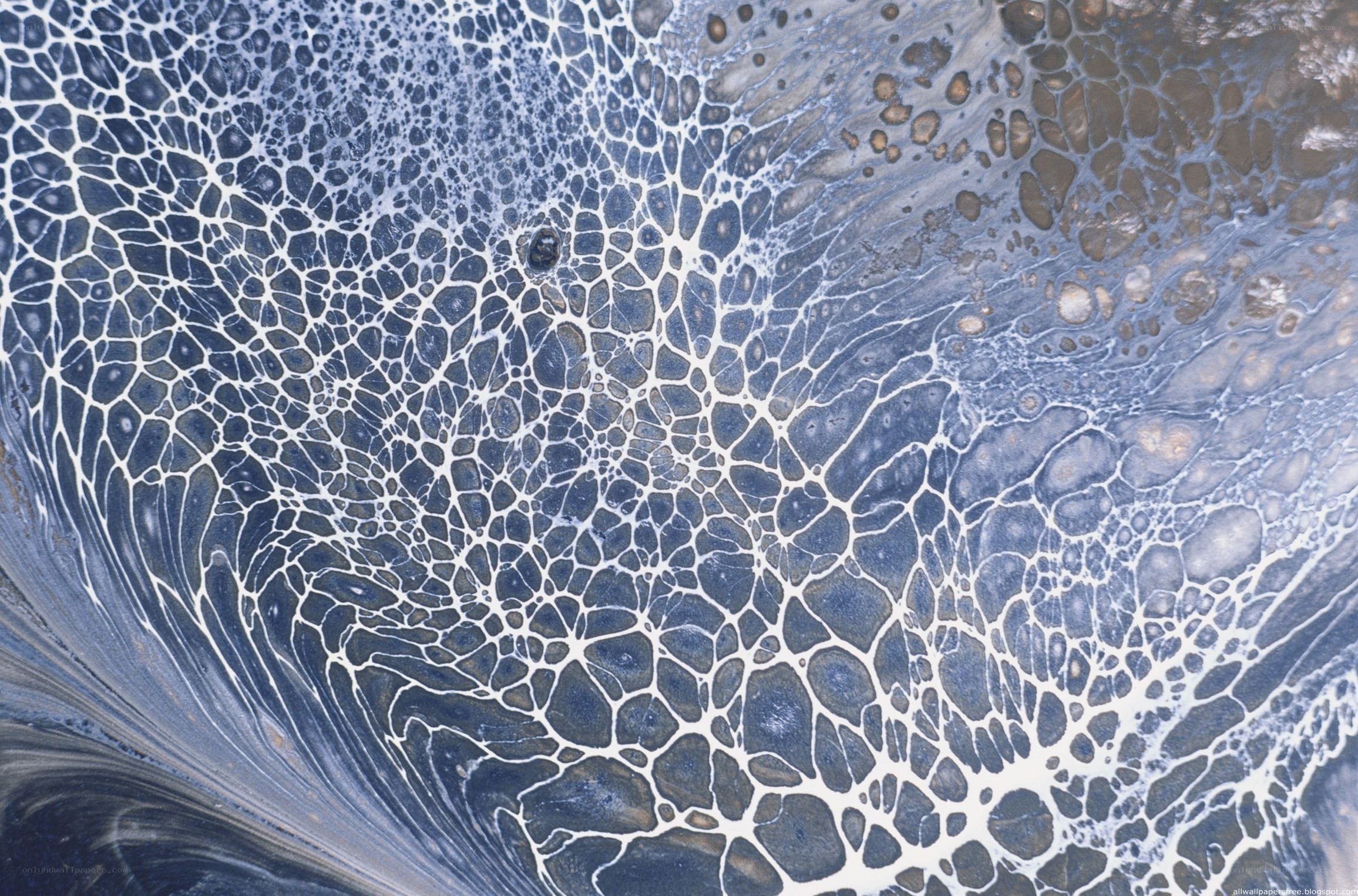 blue and white abstract pattern