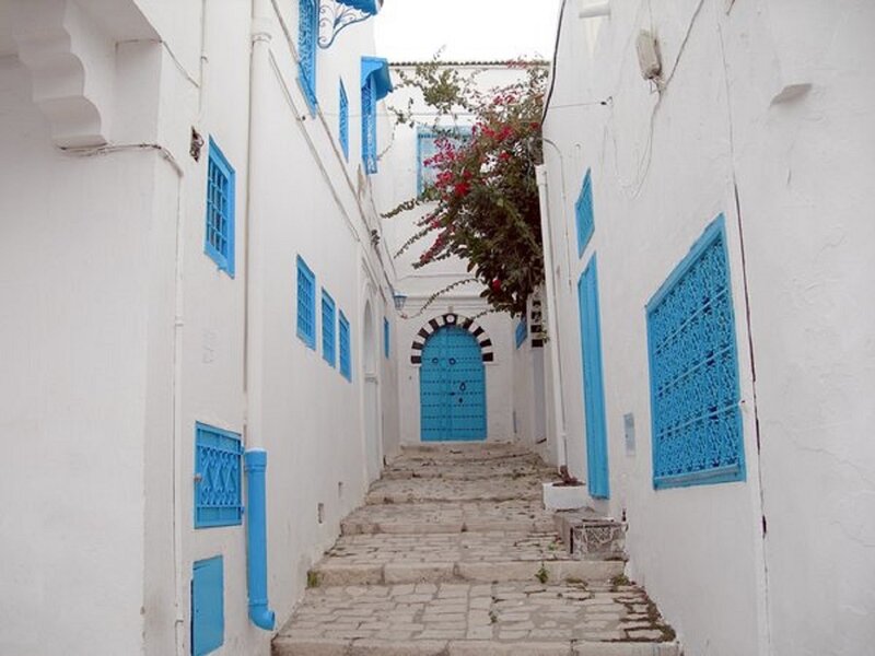 Blue and White Alley — Serene