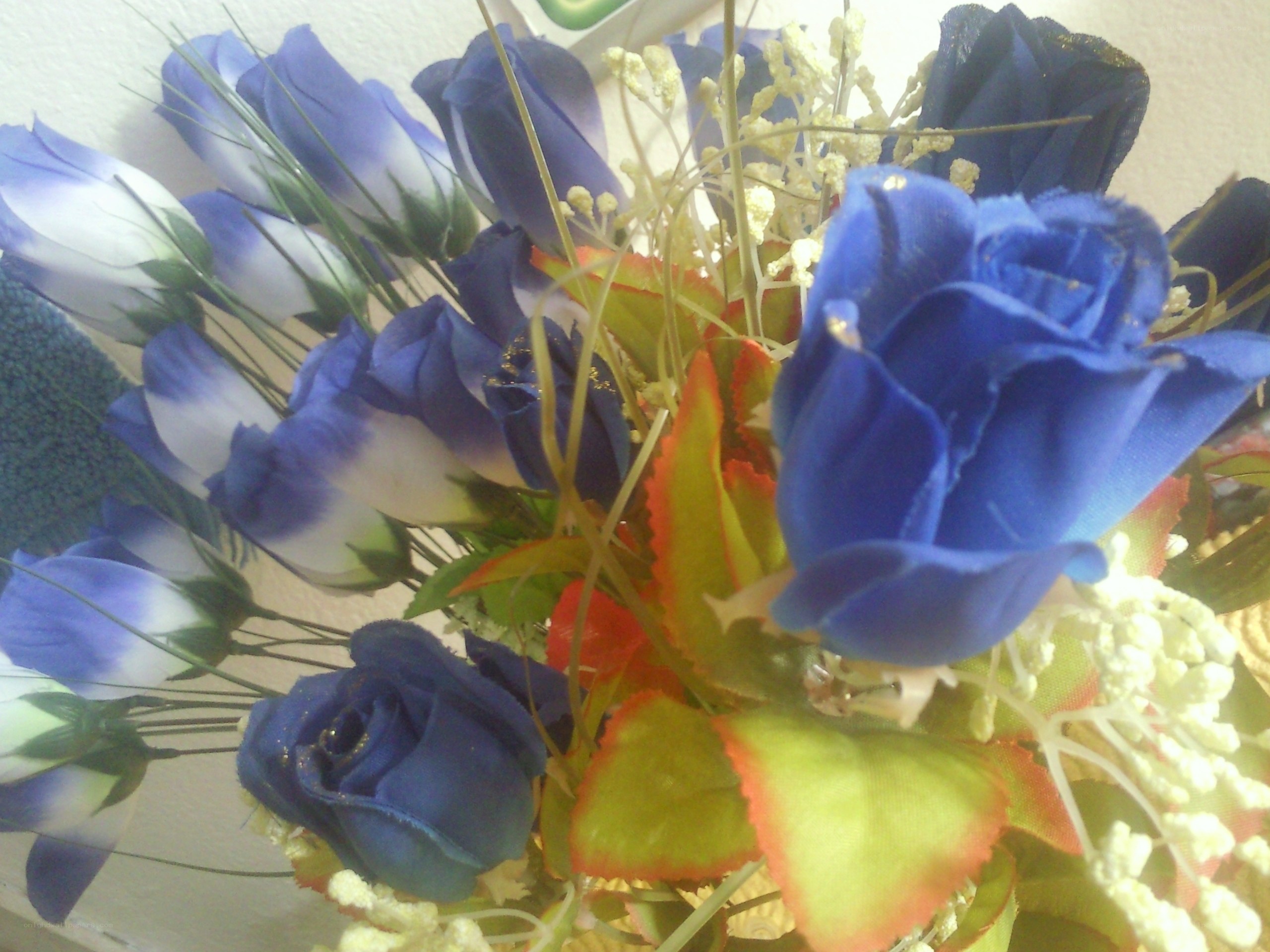 blue and white artificial flowers