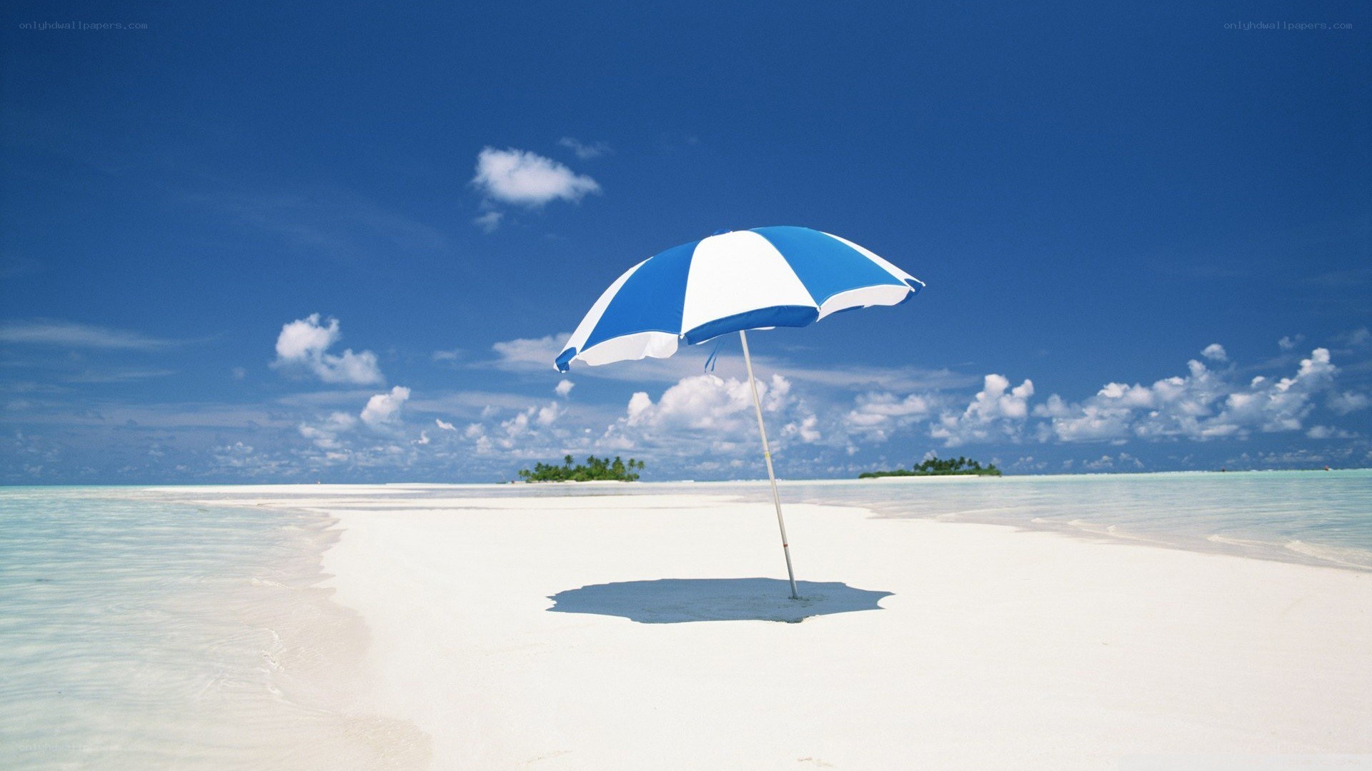 Blue and white beach umbrella