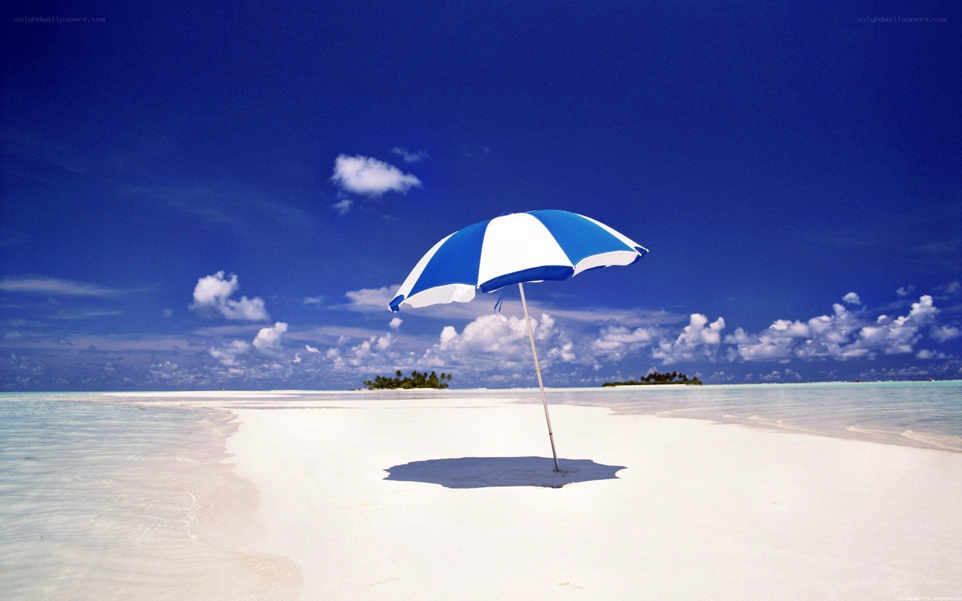 Blue and white beach umbrella