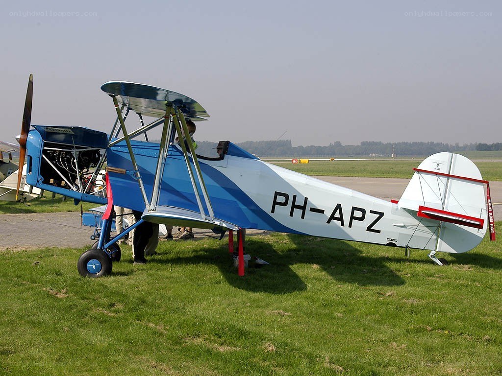 blue and white biplane on grass